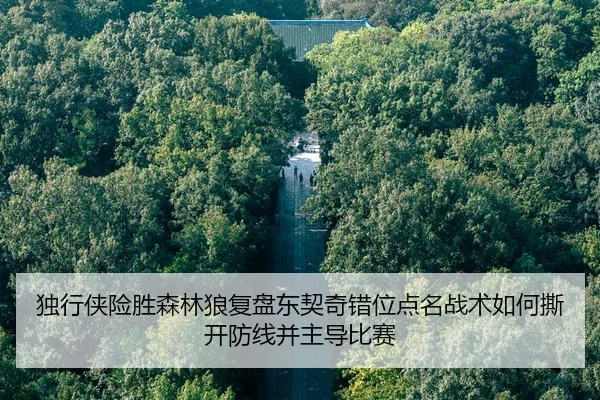 独行侠险胜森林狼复盘东契奇错位点名战术如何撕开防线并主导比赛